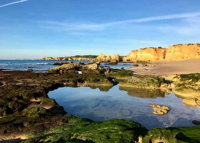 Casa Azul, Fast Wi-fi, Airco, Pool & Bbq Near The Da Rocha * Portimão