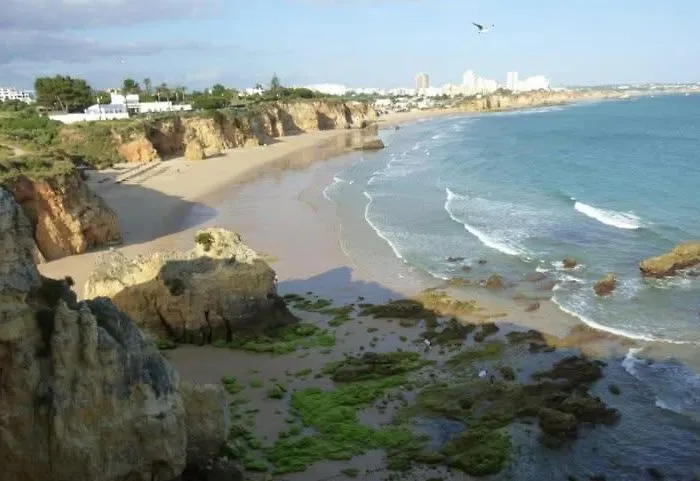 Apartment Casa Azul, Fast Wi-fi, Airco, Pool & Bbq Near The Da Rocha *