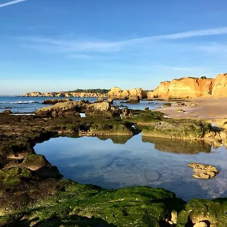 Casa Azul, Fast Wi-fi, Airco, Pool & Bbq Near The Da Rocha * Portimão